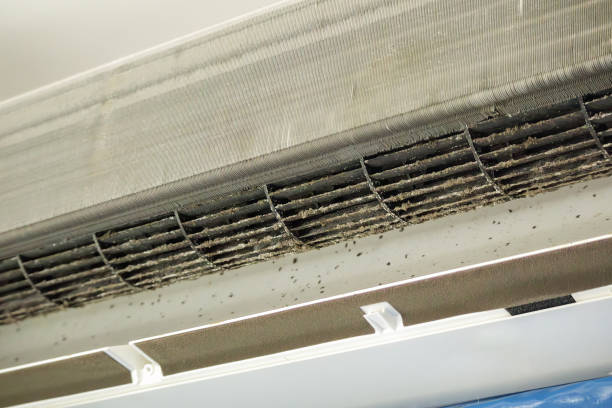 Best Air Duct Cleaning Near Me  in Cloverly, MD